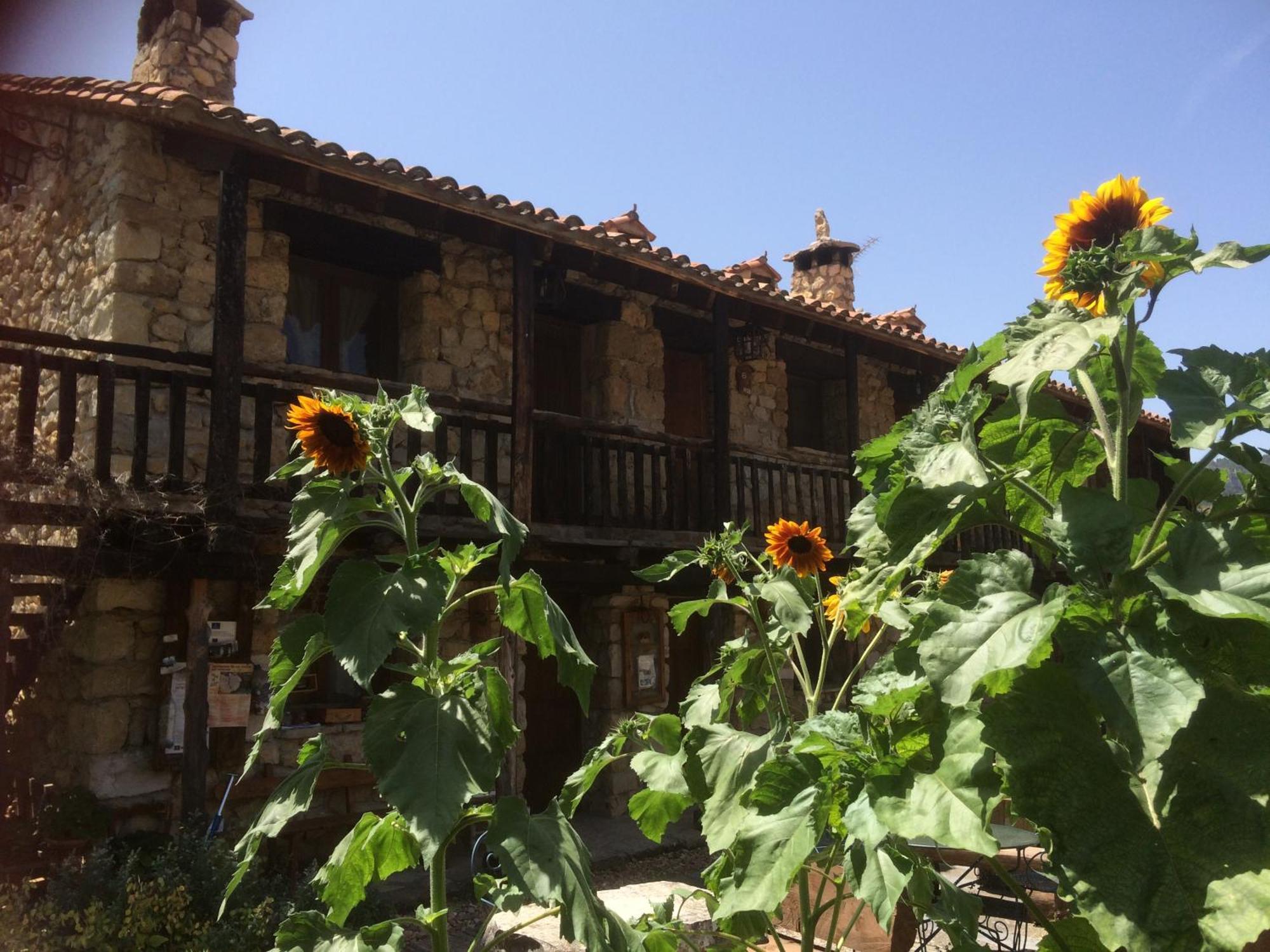 Casas Rurales Chon Alto Tajo Peralejos de las Truchas Extérieur photo